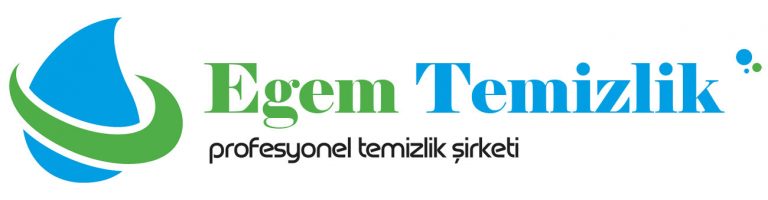 izmir ev temizliği